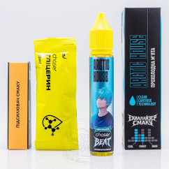 Chaser Beat Salt Arctic House 30ml 50mg