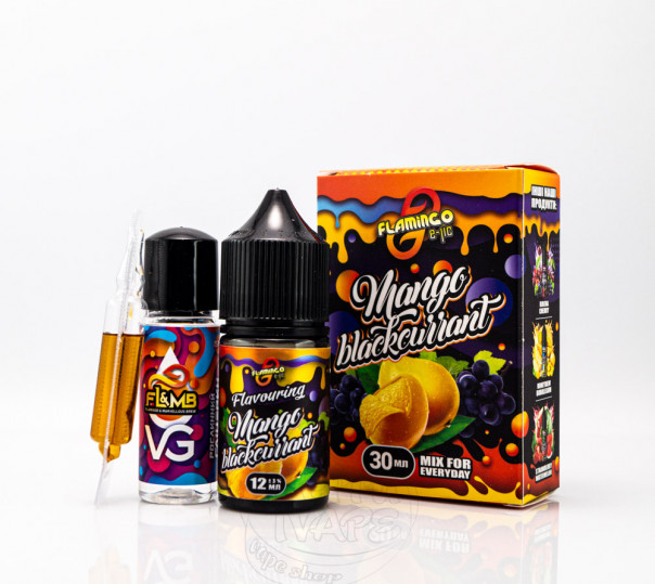 Жидкость Flamingo Salt Mango Blackcurrant 30ml 50mg со вкусом манго и смородины (набор компонентов)