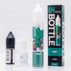 In Bottle Evo Salt Mint 30ml 50mg
