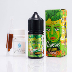 In Bottle Puzzle Salt Cactus 30ml 50mg
