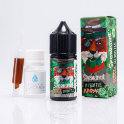 In Bottle Puzzle Salt Spearmint 30ml 50mg