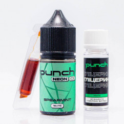 Punch Neon Ice Salt Spearmint 30ml 50mg Жидкость (набор компонентов)