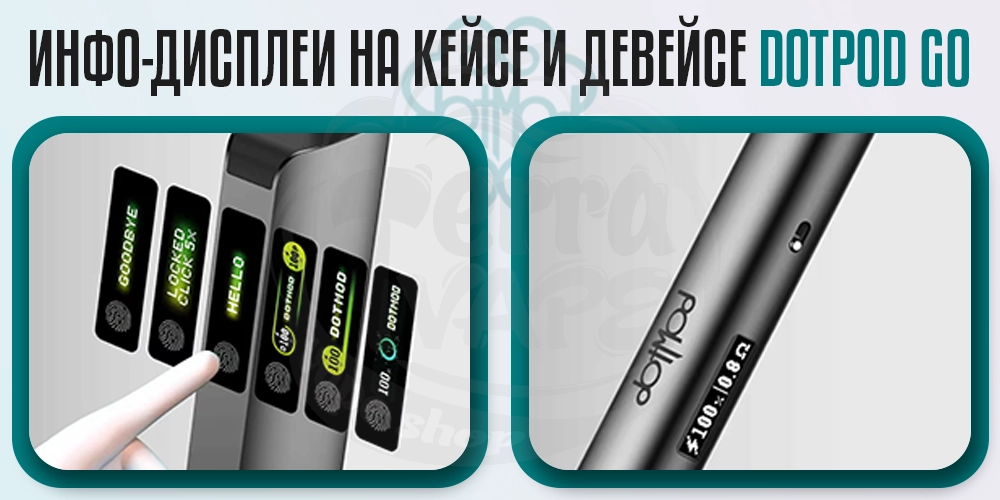 Дисплей на dotMod dotPod Go kit
